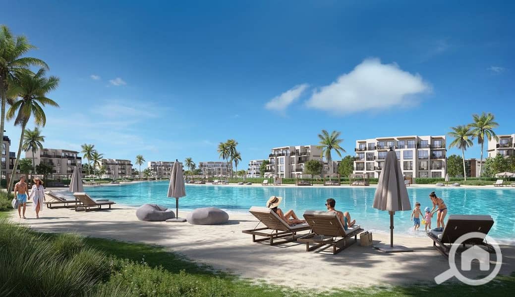 2 Screenshot 2026-02-01 175134. jpg