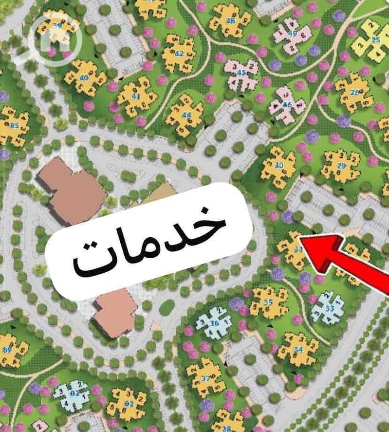 12 e2507480-3afe-438a-ab03-05c198bf36c6. jpg