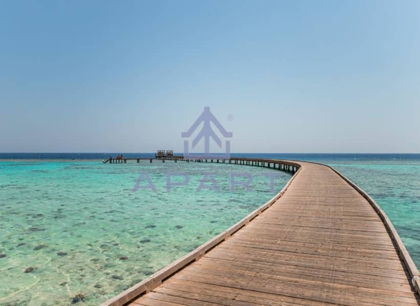 11 d11069b6-570c-47bc-b962-6791177f4b7c. jpeg