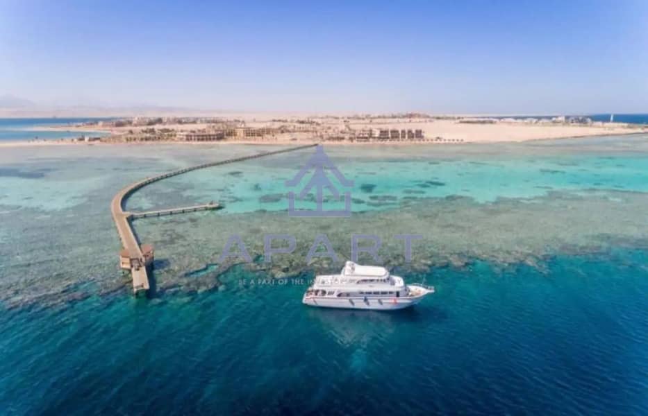 5 7568667-a497bo. jpg