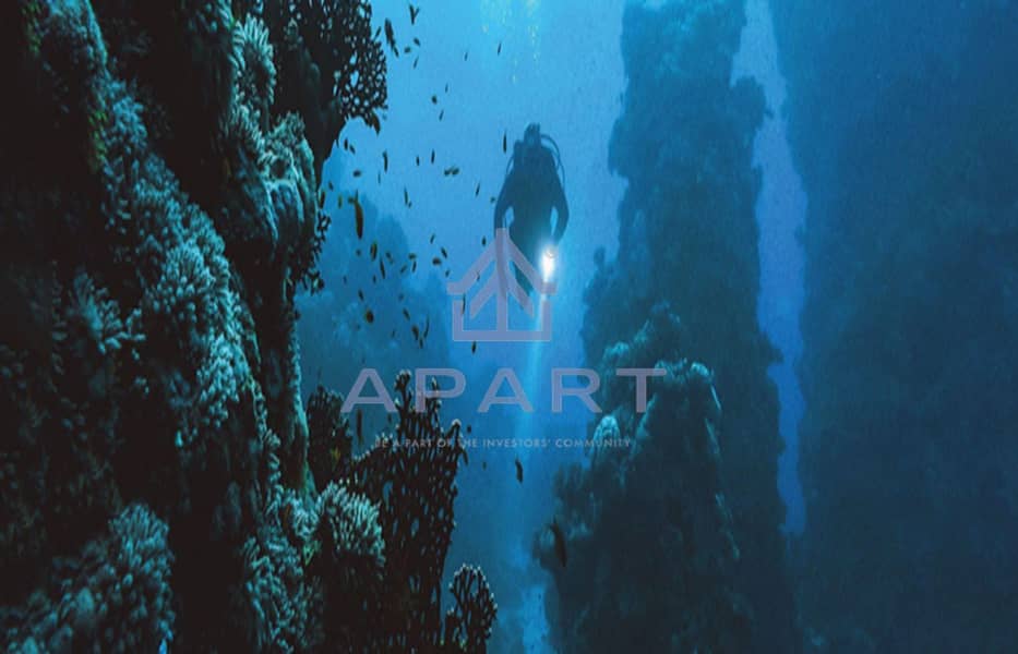 8 Screenshot 2025-08-03 120932. png