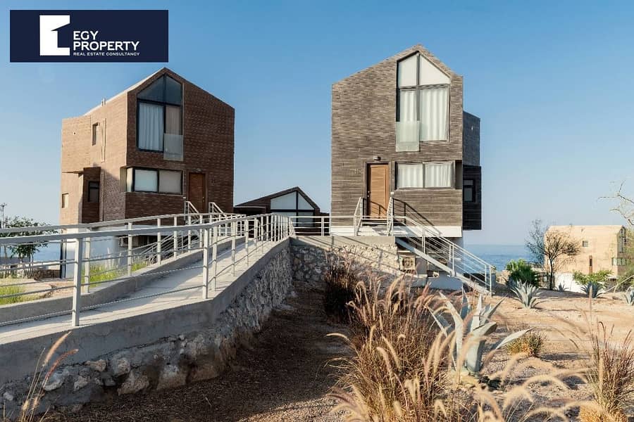 8 493661783_3730944823878377_1266292534762441208_n. jpg