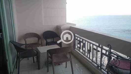 2 Bedroom Villa for Rent in Miami, Alexandria - 1000094529. jpg 2 Bedroom Villa for Rent in Miami, Alexandria - 1000094529. jpg