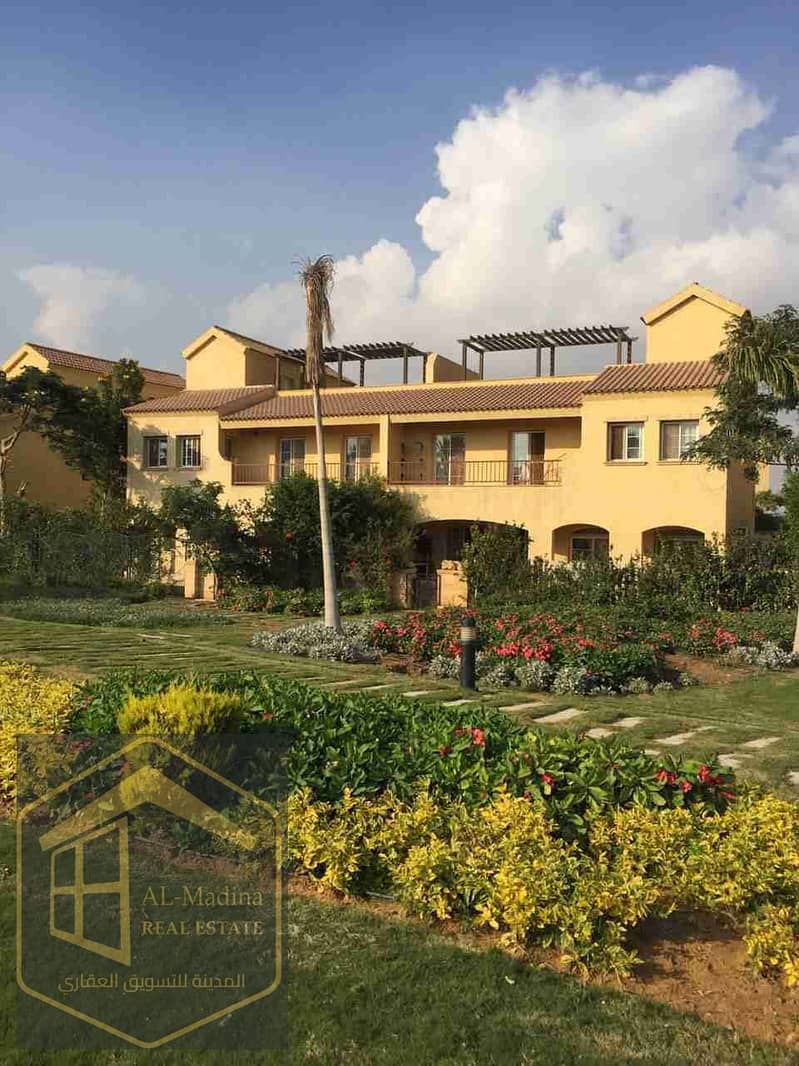 1000707145. jpg 1000707145. jpg