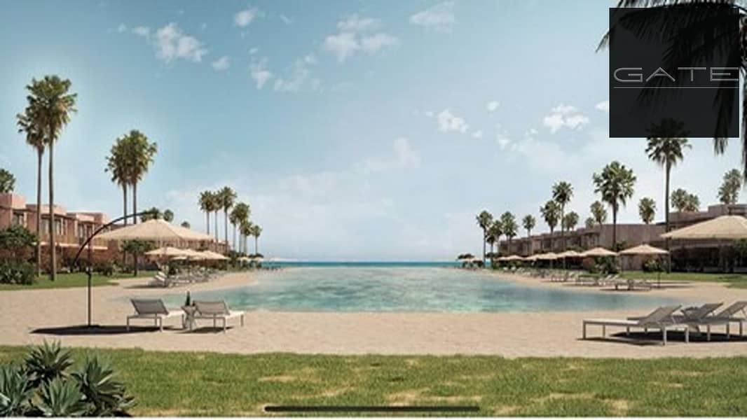 7 medium_1afI5N5ay1nxvX7ZbB25qLoQQBFuQH. jpg