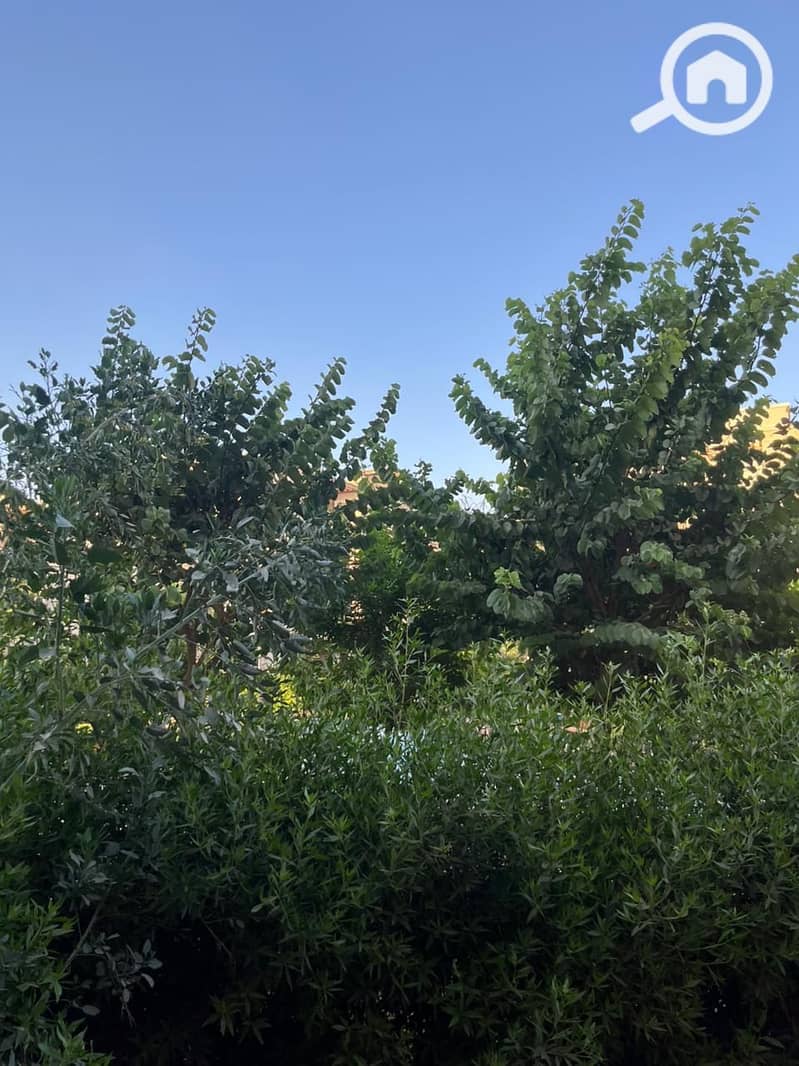 8 WhatsApp Image 2025-08-31 at 3.48. 14 PM (2). jpeg