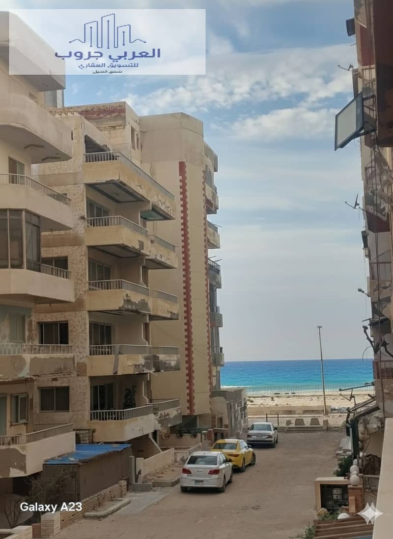 1000360258. png 1000360258. png