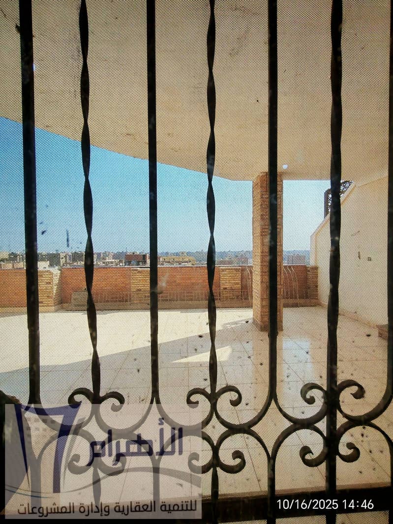 10 611650081_1181669910777875_2133628294506443779_n. jpg