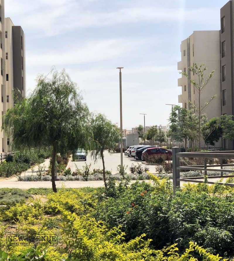 3 8c71bf9a-d2b2-4924-ba1c-a7e2e4b7cbc7. jpg