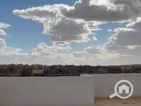 2 WhatsApp Video 2025-12-11 at 07.37. 59_82d5e85e-0. jpg