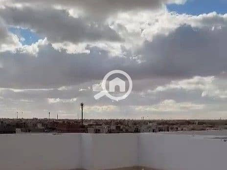 3 WhatsApp Video 2025-12-11 at 07.37. 59_82d5e85e-1. jpg