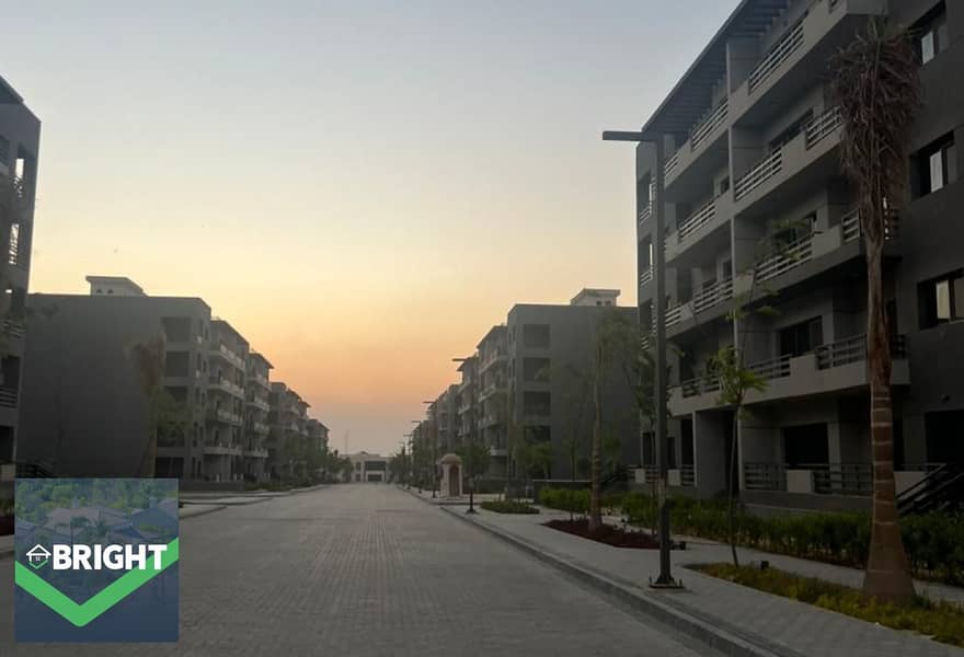 3 original (18). jpg