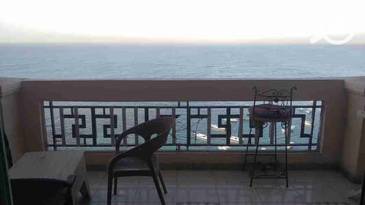 3 Bedroom Apartment for Rent in Miami, Alexandria - 1000094649. jpg