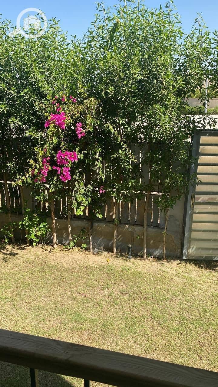 3 WhatsApp Image 2026-01-30 at 9.34. 23 PM (2). jpeg