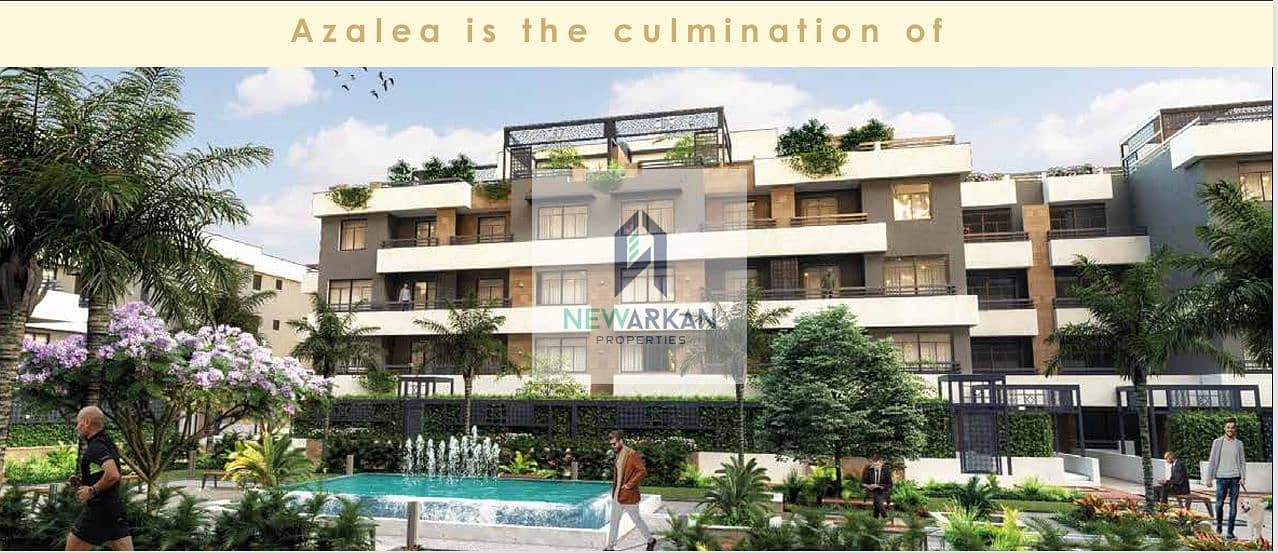 3 Screenshot 2026-02-01 174029. png