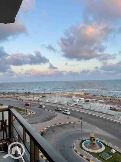 4 Bedroom Apartment for Rent in Miami, Alexandria - 1000095276. jpg