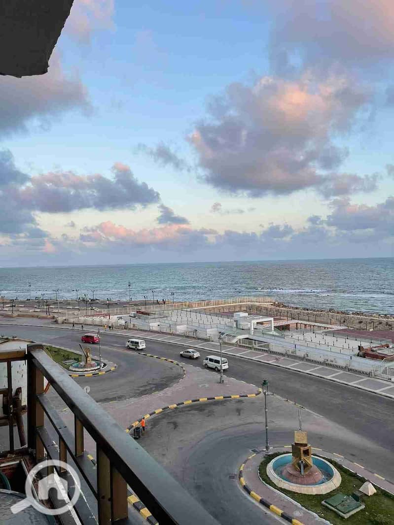 1000095276. jpg 1000095276. jpg