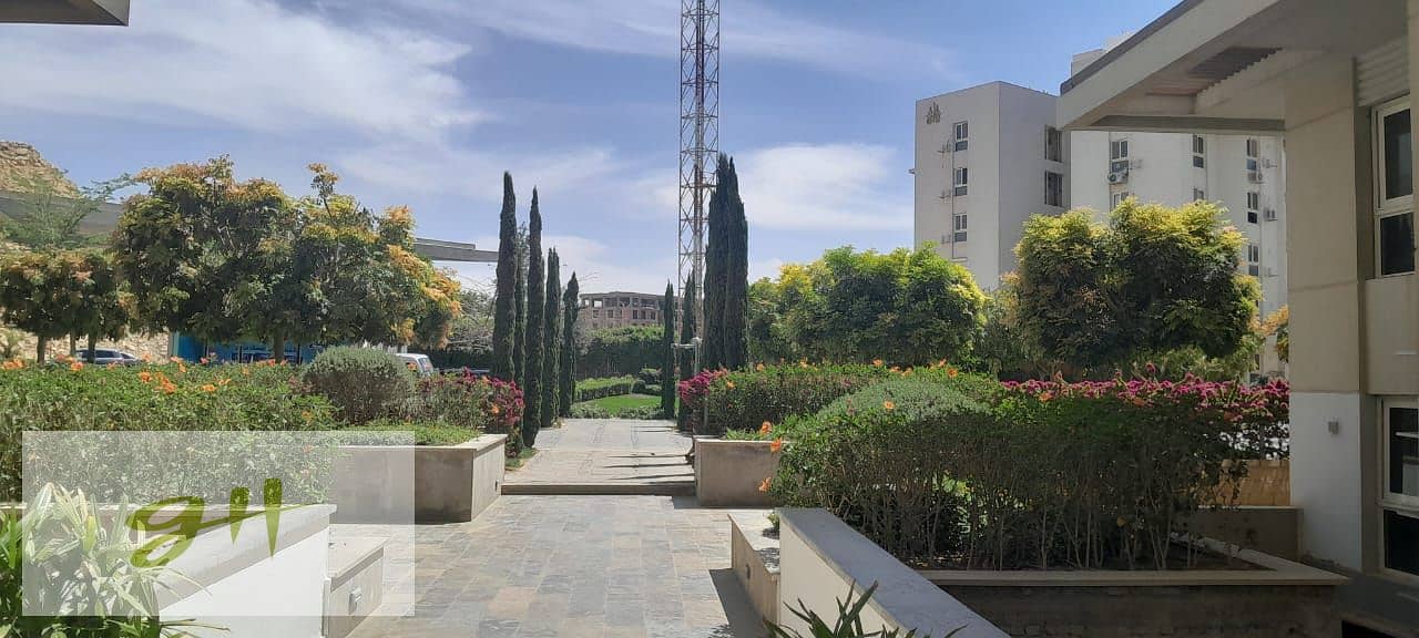 5 WhatsApp Image 2026-01-31 at 15.57. 48 (2). jpeg