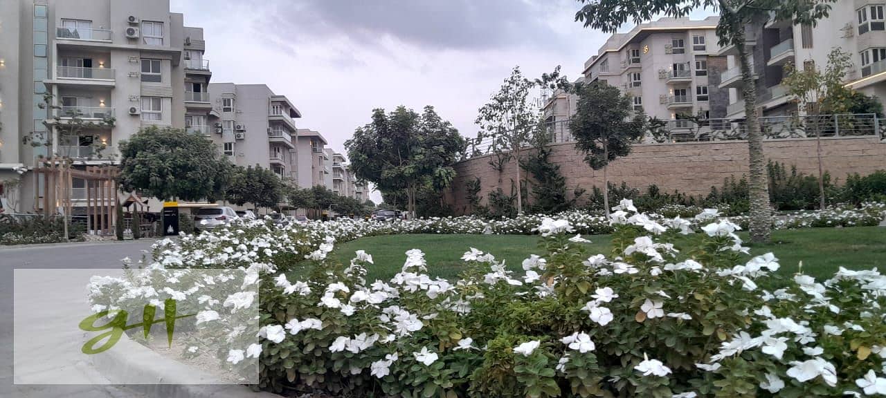 7 WhatsApp Image 2026-01-31 at 15.57. 49. jpeg