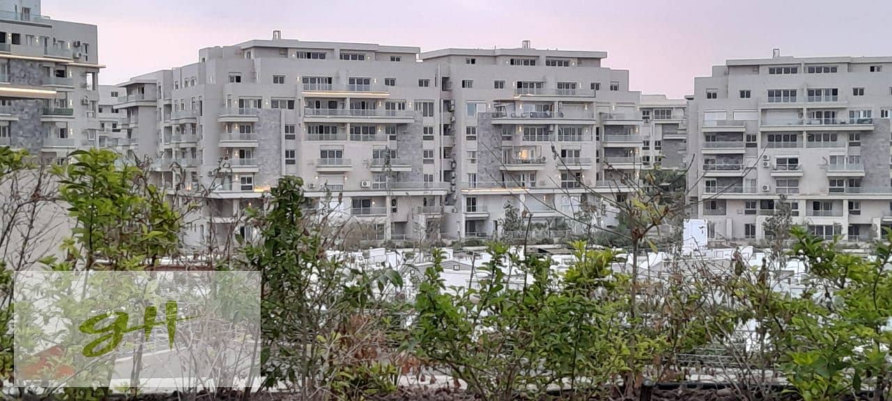 10 WhatsApp Image 2026-01-31 at 15.58. 02 (1). jpeg