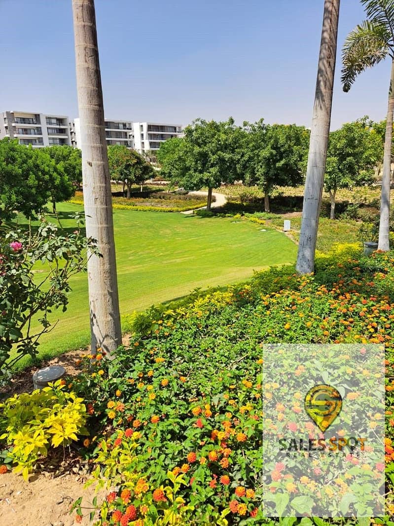 5 WhatsApp Image 2024-11-04 at 2.11. 56 PM (1). jpeg