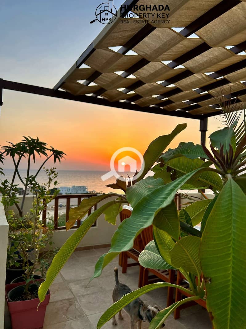 2 whatsapp image 2025-05-27 at 4.06. 36 pm. jpeg