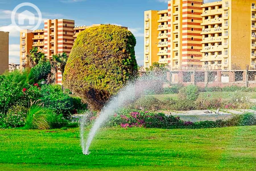 2 WhatsApp Image 2025-05-06 at 12.31. 22 PM (1). jpg