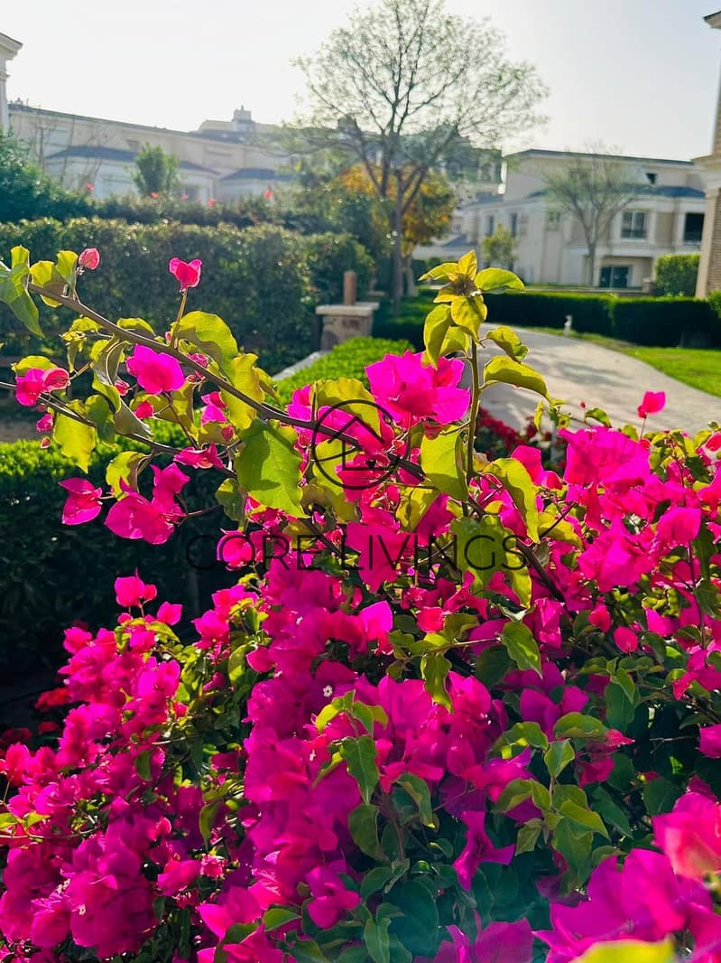 32 img-20250716-wa0003 (1). jpg