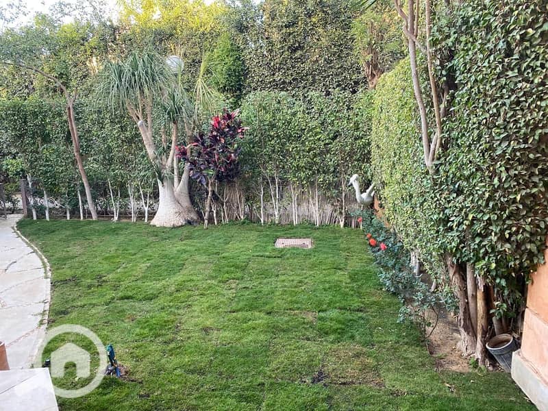 18 e8dee472-90bb-48ca-8a23-45d94ba84753. jpg