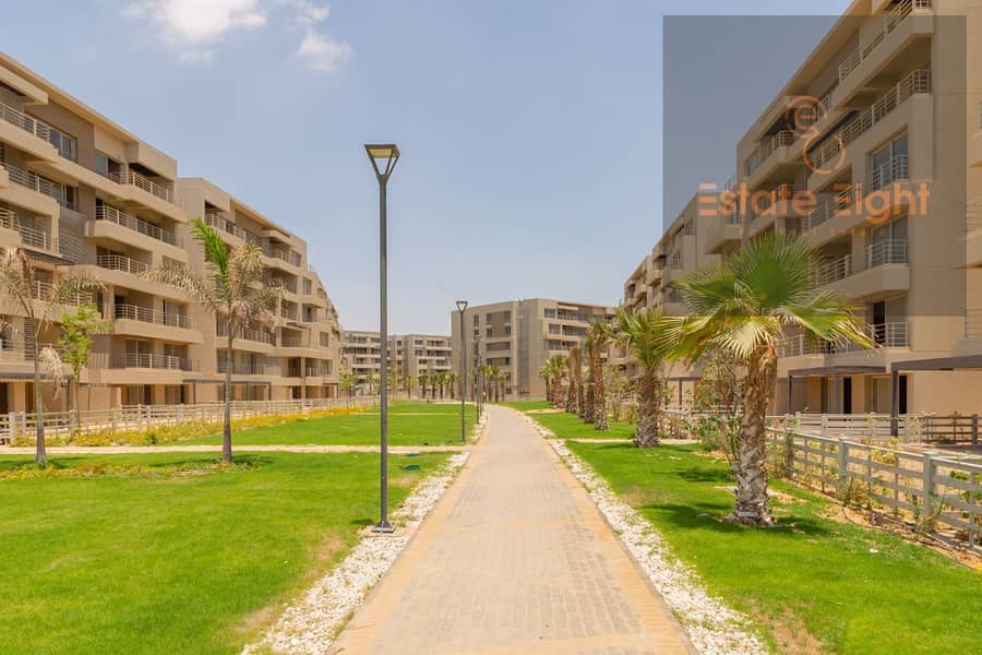 2 17f7d427-0995-49c7-8be3-e496e0aeb360. jpg