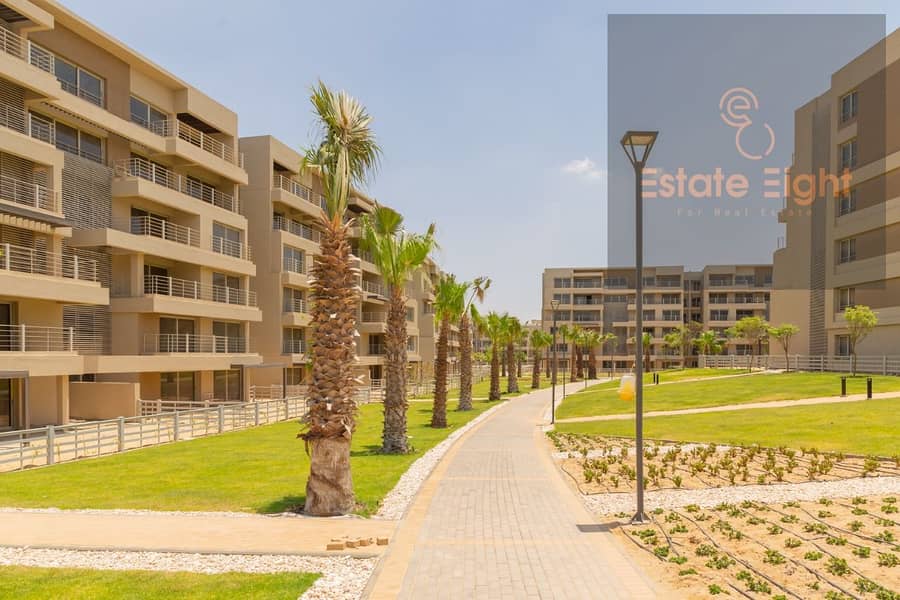 10 d2593ac1-a771-47d3-9784-65b2e36a95fe. jpg