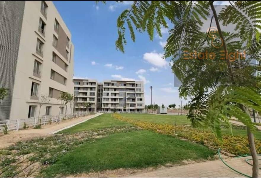 12 e74d5756-7977-4076-ae59-33a427e51594. jpg