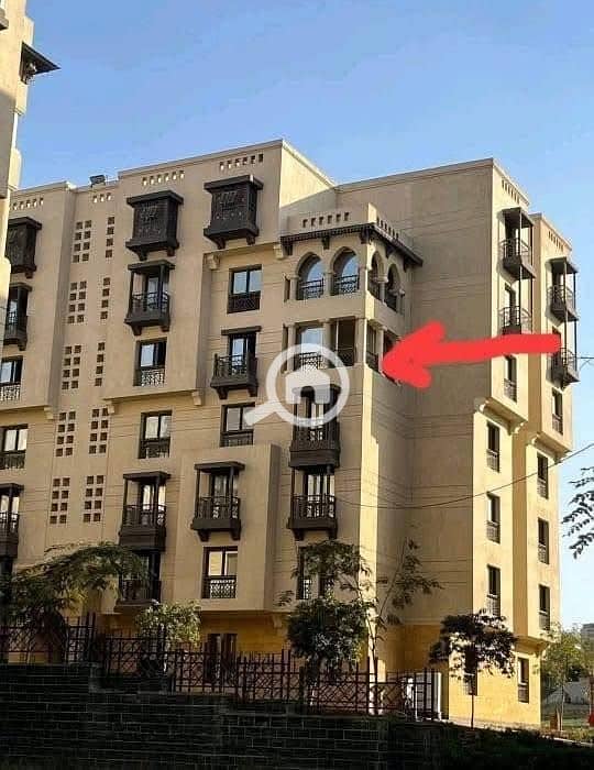 6 546531569_782161991263928_8208400741135855392_n. jpg