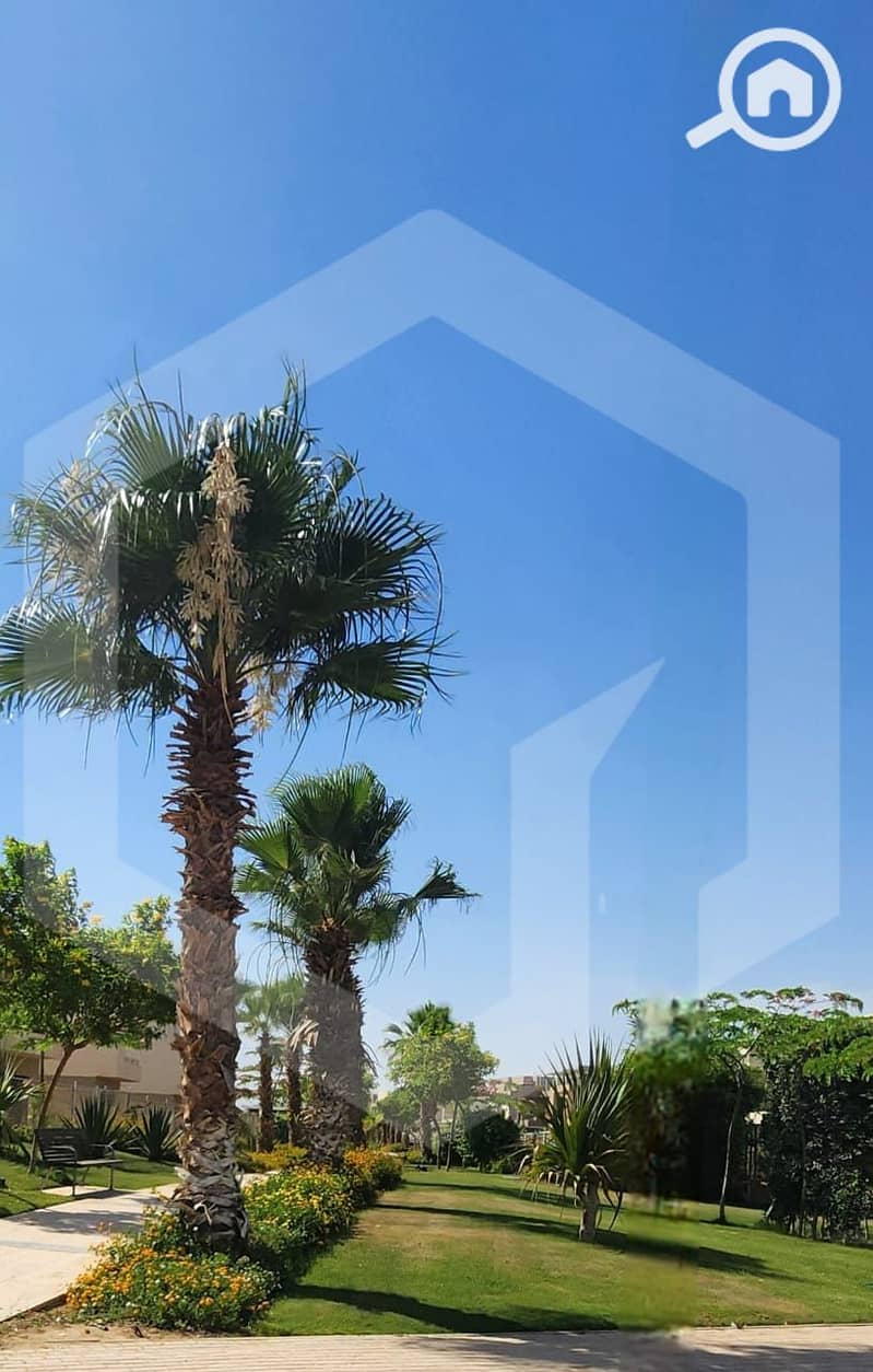 11 The Crown 11. jpg