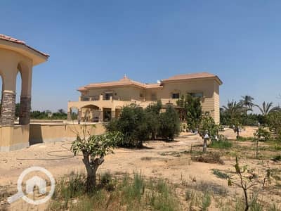 5 Bedroom Villa for Sale in 6th of October, Giza - 2. jpeg