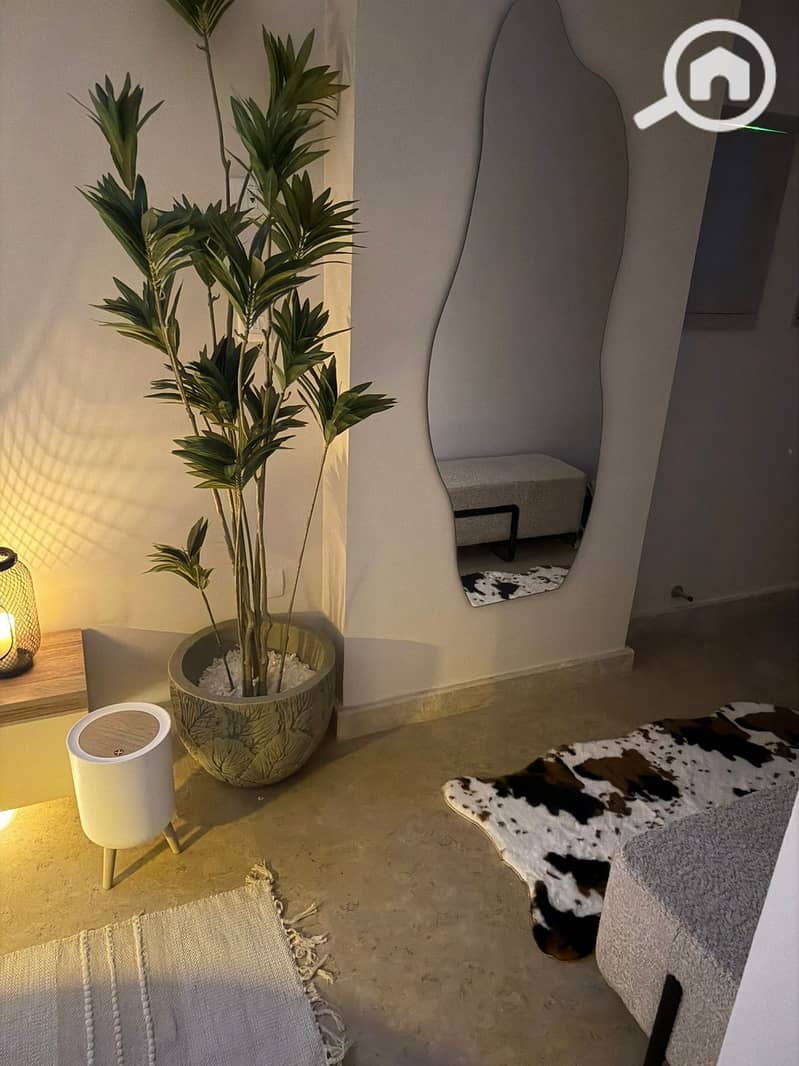 3 WhatsApp Image 2026-02-02 at 11.36. 52 AM. jpeg