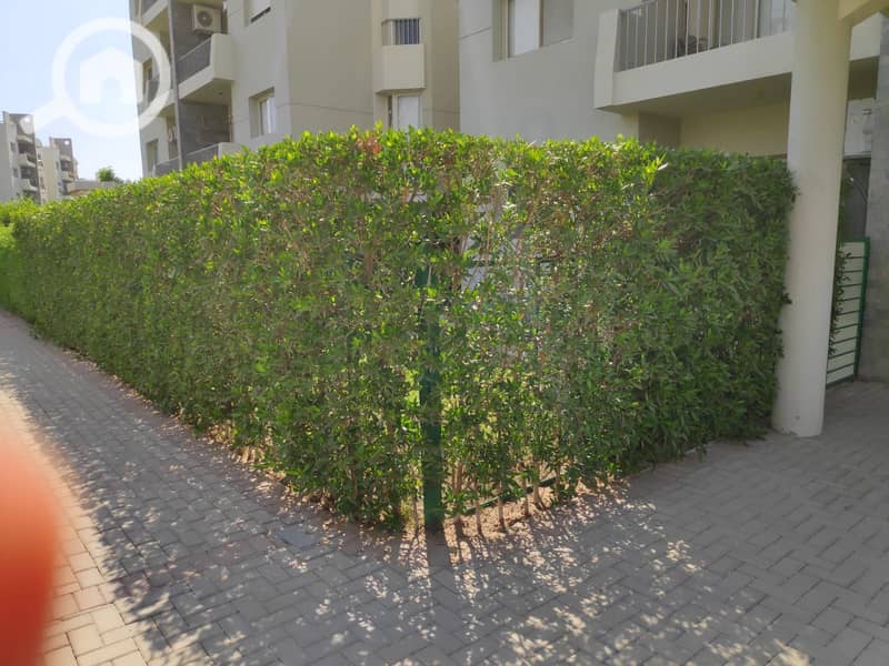 4 8b58e846-faeb-4684-b2ae-92d05939f393. jpg