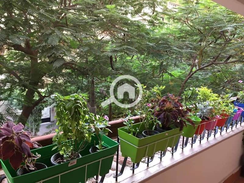 2 WhatsApp Image 2026-02-01 at 5.55. 38 PM. jpeg