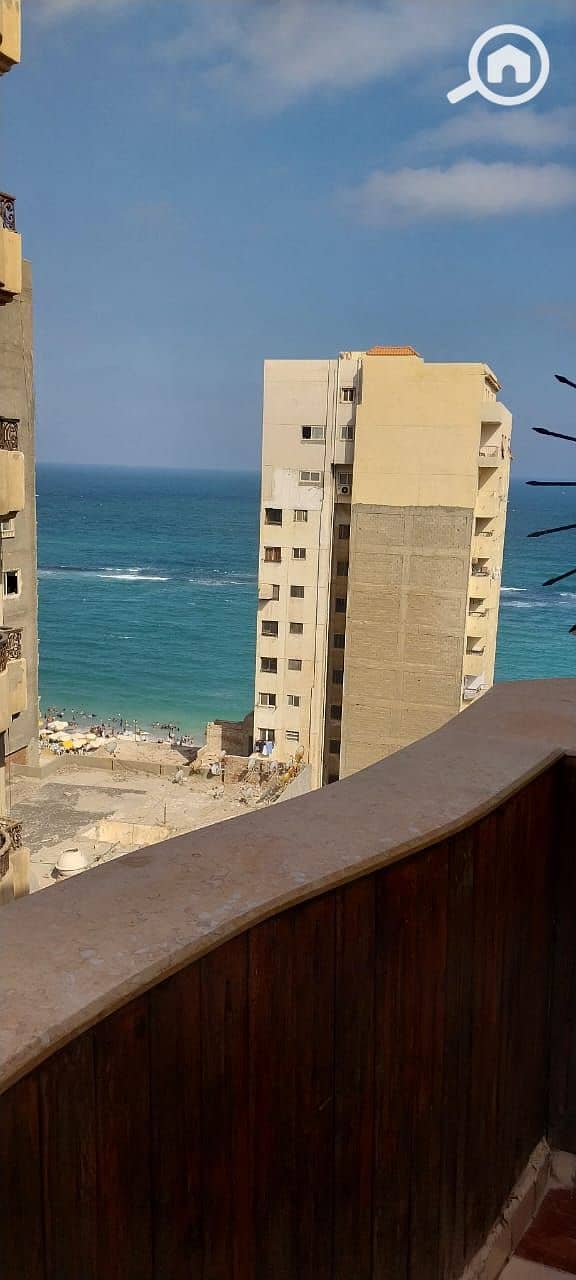 WhatsApp Image 2026-02-01 at 6.39. 48 PM (1). jpeg WhatsApp Image 2026-02-01 at 6.39. 48 PM (1). jpeg