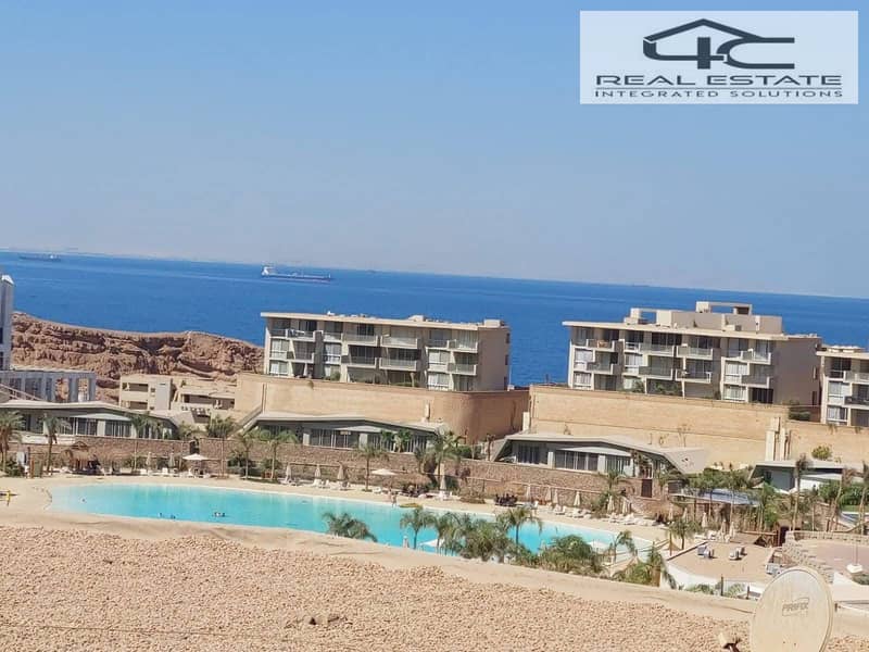 12 542708331_650083788142592_7372584803984872705_n. jpg