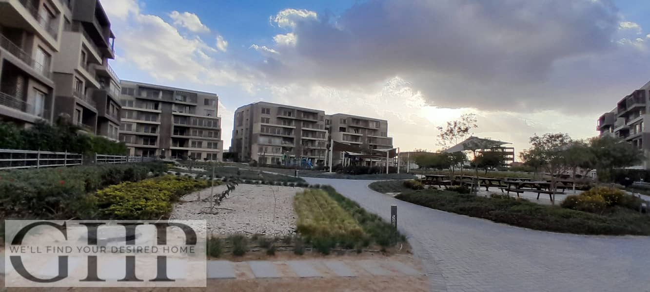 5 20260109_160014. jpg