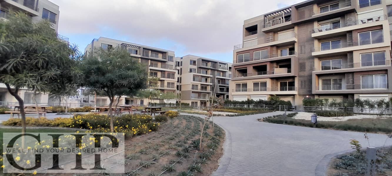 5 20260109_155933. jpg