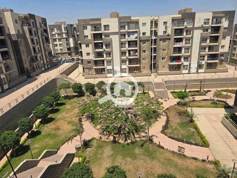 1000184775. jpg 1000184775. jpg