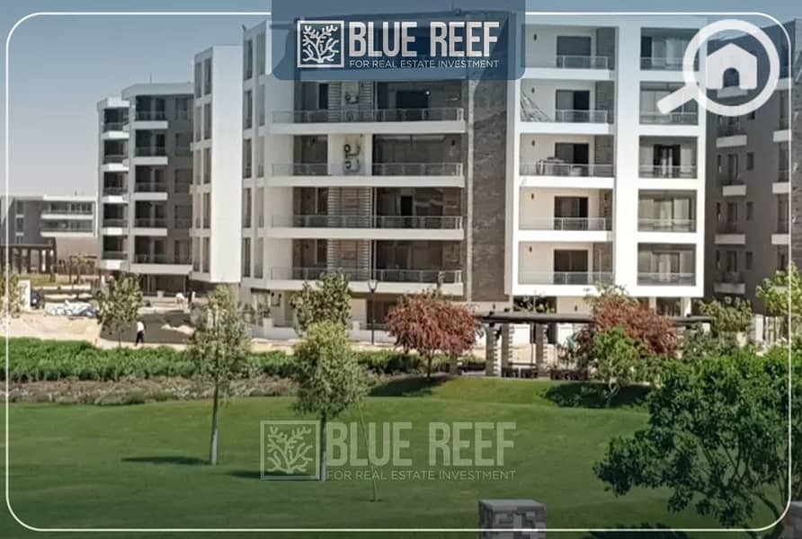 3 WhatsApp Image 2025-12-14 at 2.27. 55 PM. jpeg