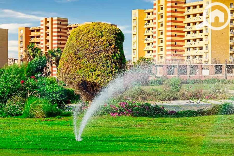 5 WhatsApp Image 2025-05-06 at 12.31. 22 PM (1). jpg