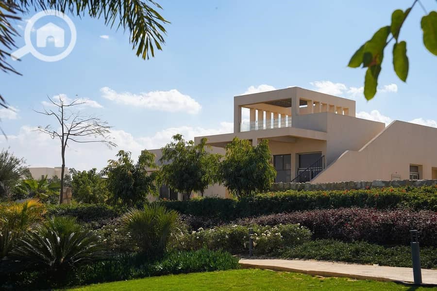 9 ebe90f78-e725-45b6-a4f5-529ea16b1886. jpg