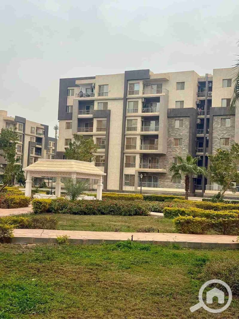 1000226225. jpg 1000226225. jpg