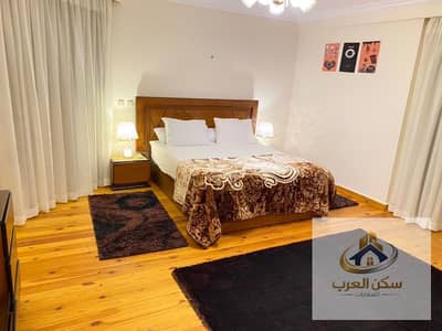 3 Bedroom Apartment for Rent in Nasr City, Cairo - Furnished hotel apartment, 261 sq m, air-conditioned, sanitized, free internet, excellent location. Daily and monthly rentals available directly from the owner.