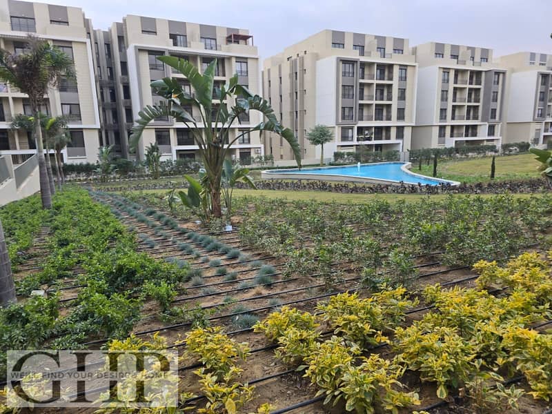 4 72061975-d1ce-4b45-ab0b-89698be4b9e4. jpg