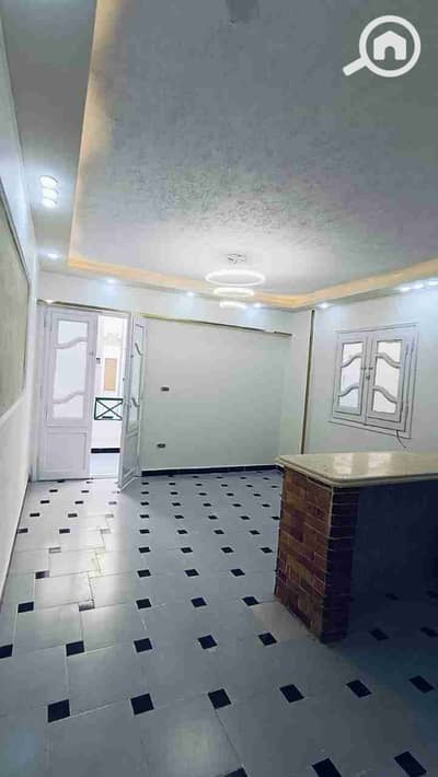 فلیٹ 2 غرفة نوم للبيع في النخيل، الإسكندرية - 1000523641. jpg